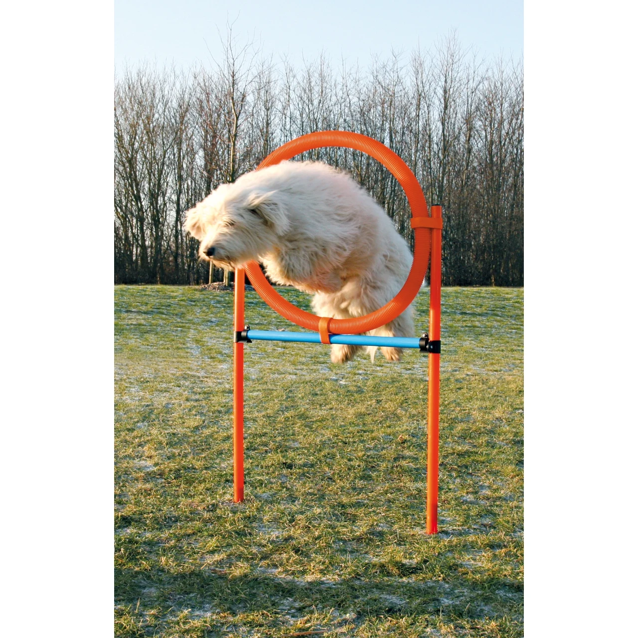 Trixie Agility Ring - sjov træning til hunde